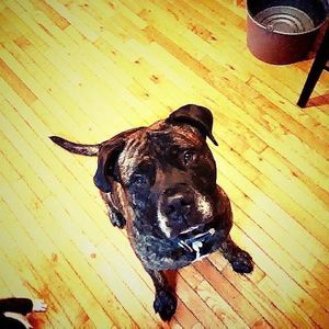 Meet your Posher, Justin